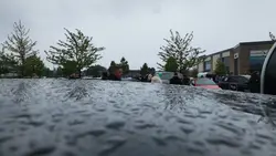 Scunny Meets 9th May