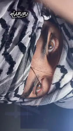 Habibi