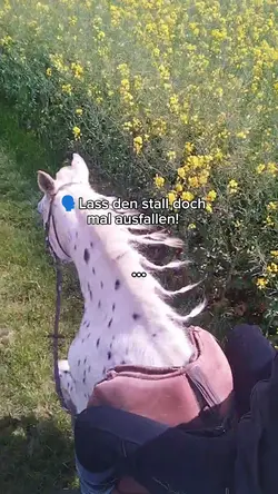 Stall