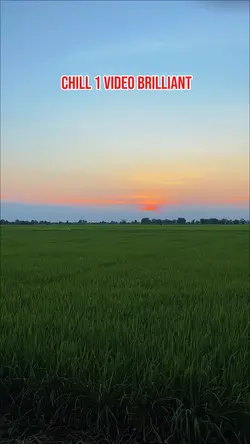 1 video color pro