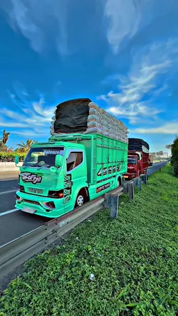 1VID FILTER IP HD