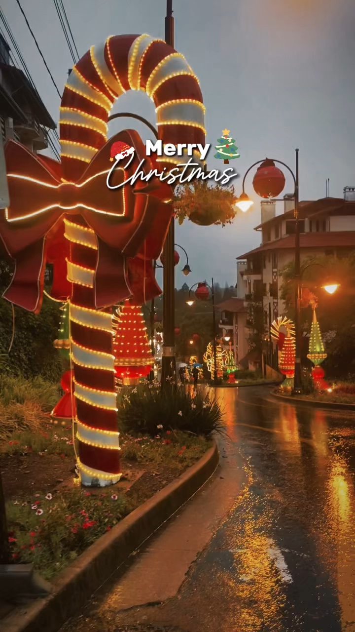 Christmas 2024