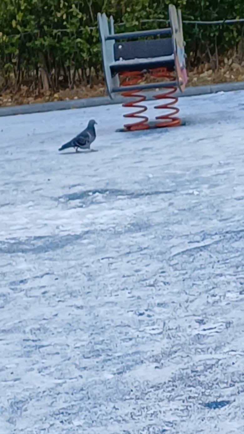 눈와서 난리치는 장면