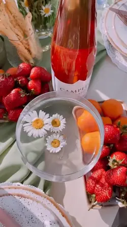 minivlog picnic