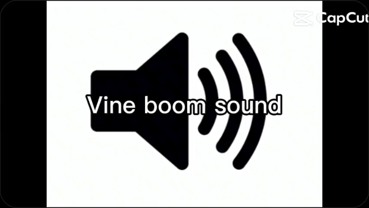 Vine boom sesi 