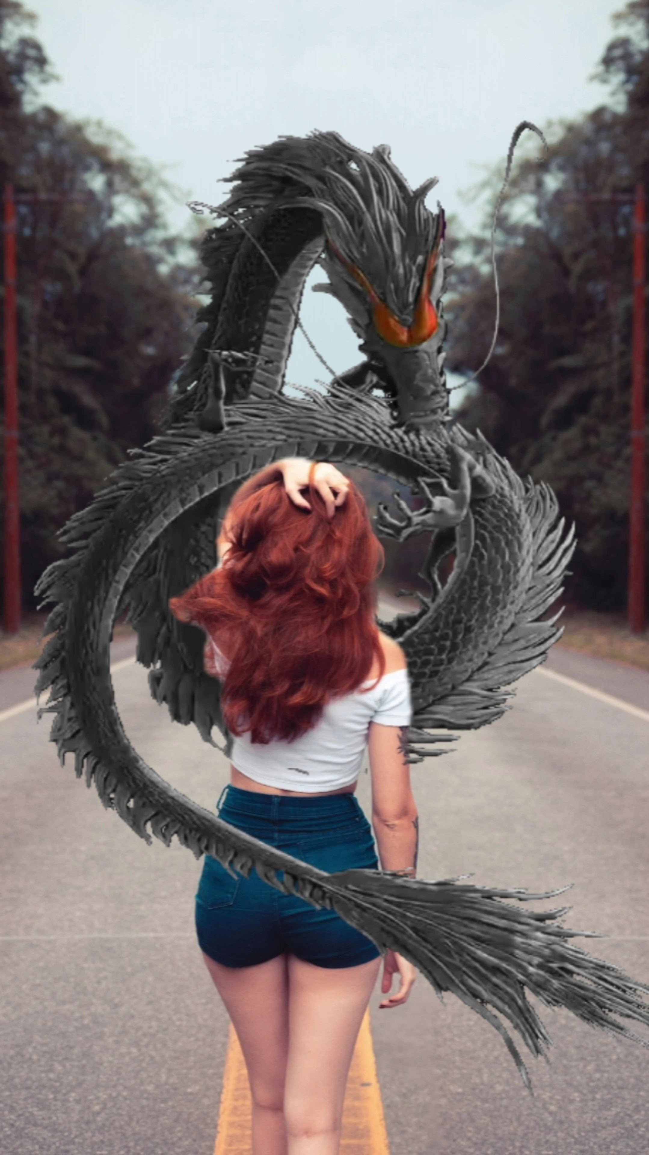Drachen im Trend 