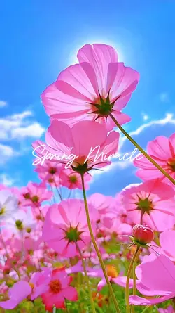 Spring Viral