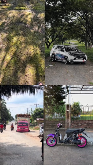4 video impianmu