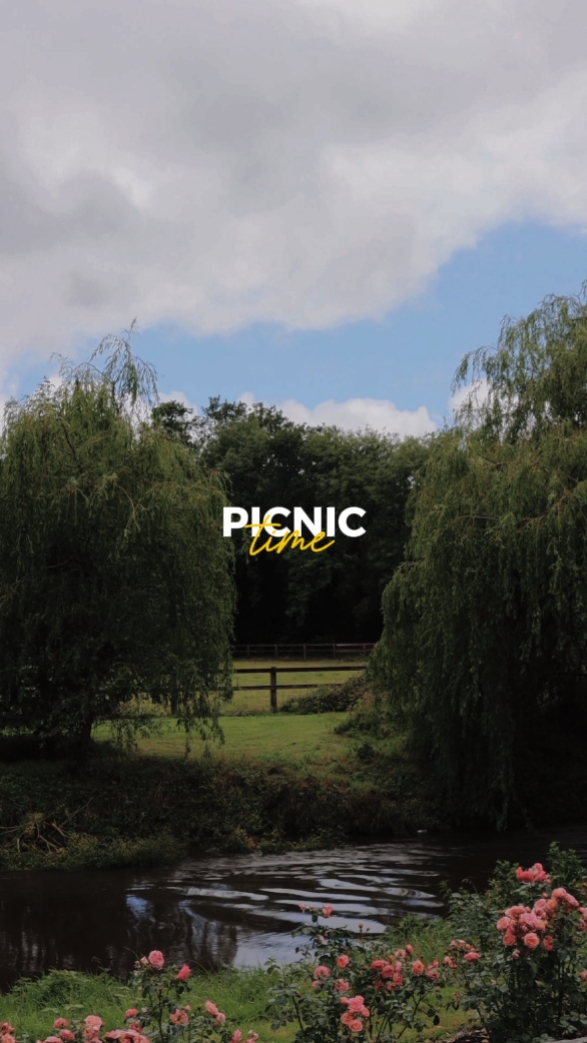 Picnic Time