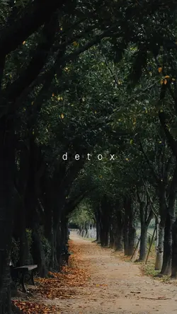 Natureza•Nature