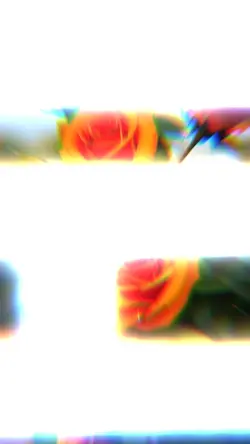 3D Text