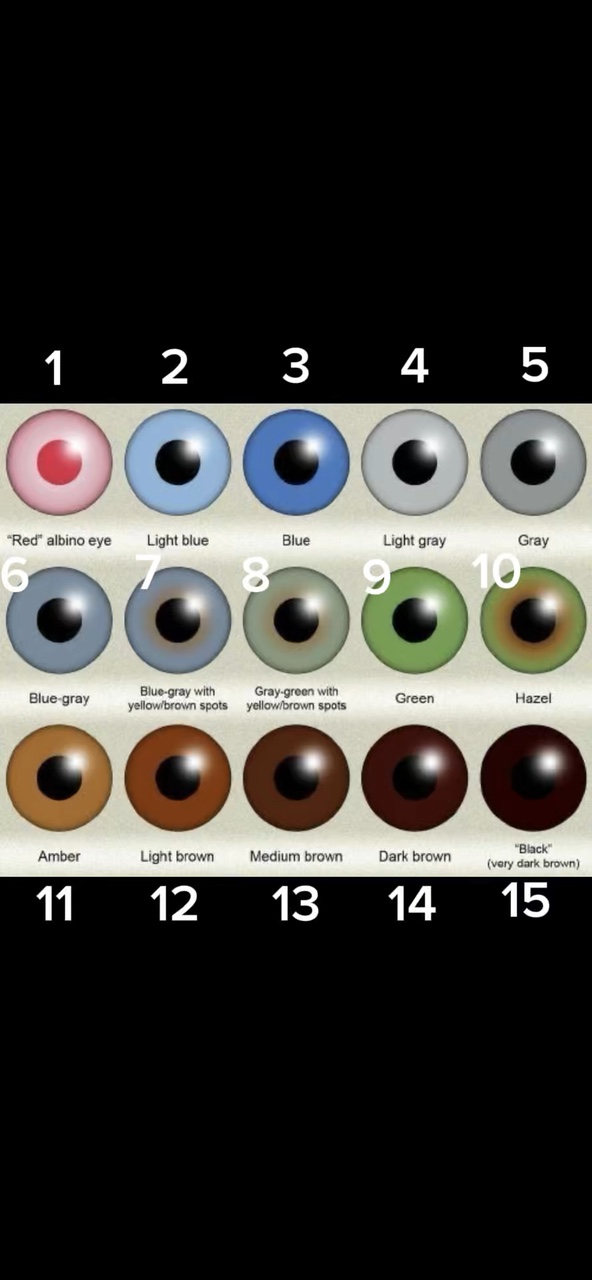 Couleur des yeux 