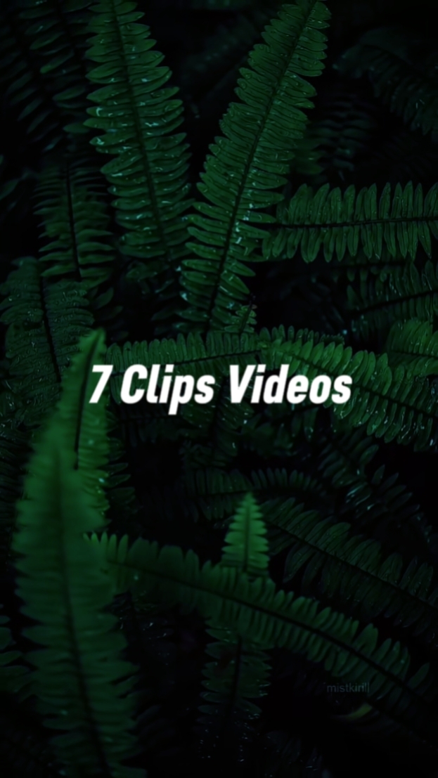 Cinematic