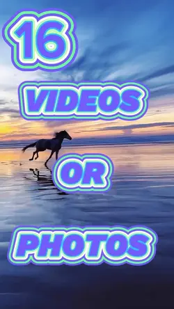 16 Photos Or Videos 