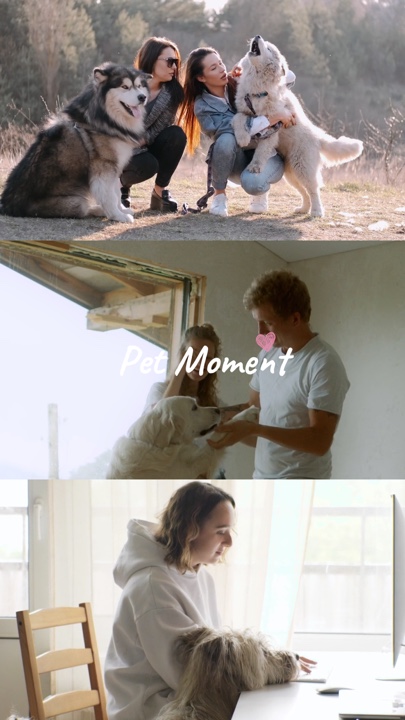 Haustier-Moment