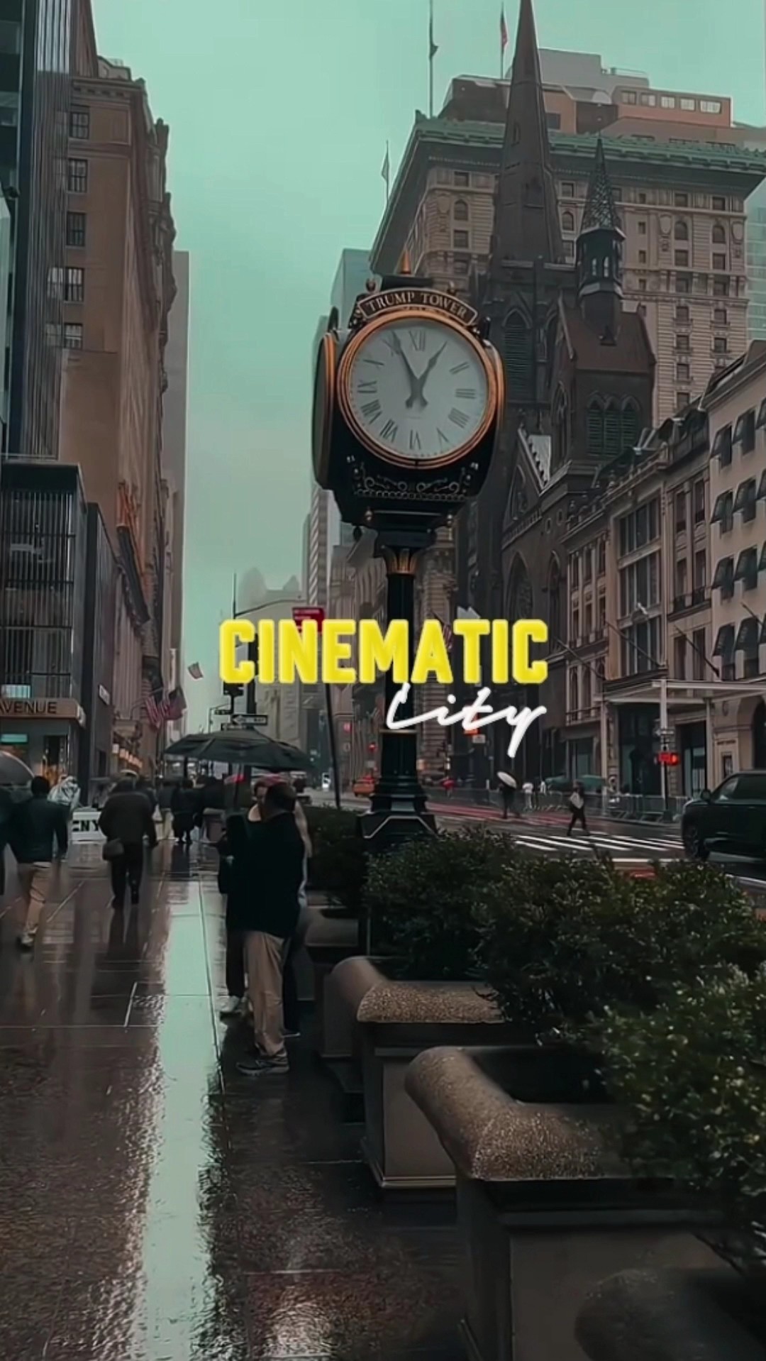cinematic city