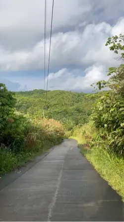 Nature Trip