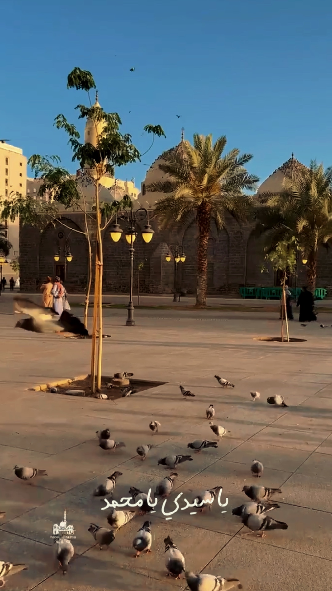 CINEMATIC ARABIC