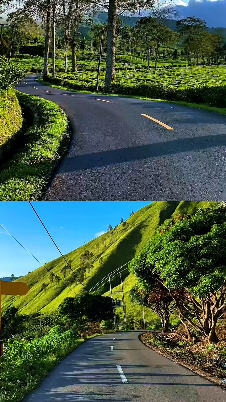 2 videos kolase