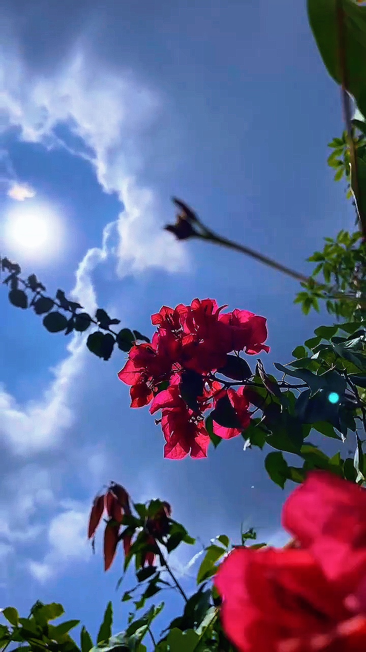 Mini Vlog