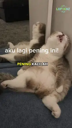 hiburan lucu part23🤣