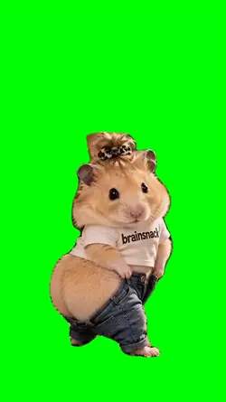 HAMSTER WEAR PANTS