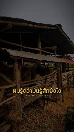 ทุกอย่างเริ่มจากศูนย