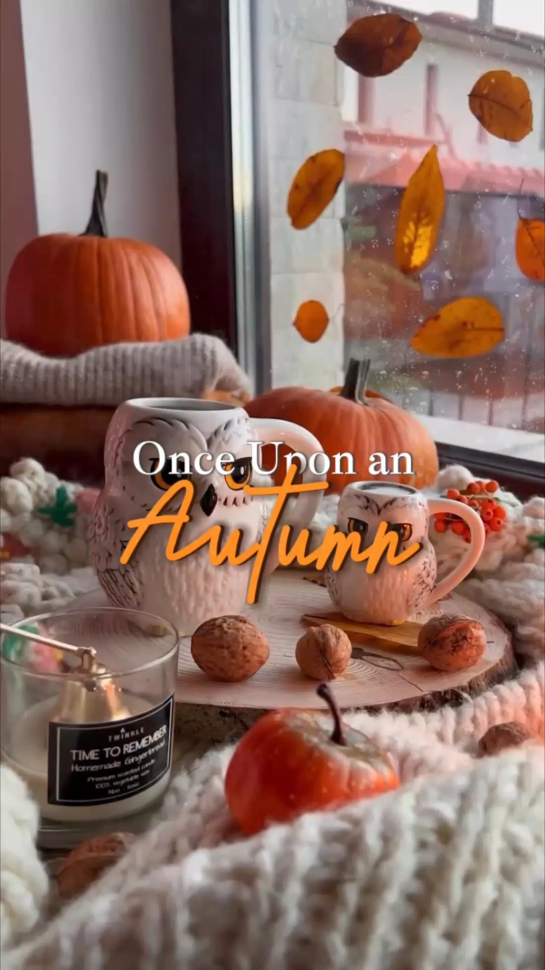 Autumn Vibes 