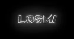 Wm for losmi 