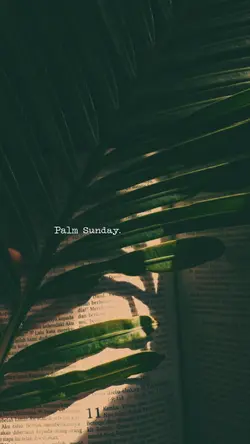 Palm Sunday