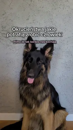 okrucieństwa pańciów