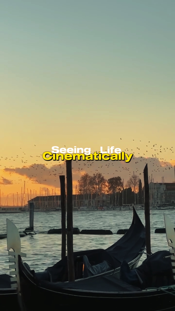 Vida Cinematográfica