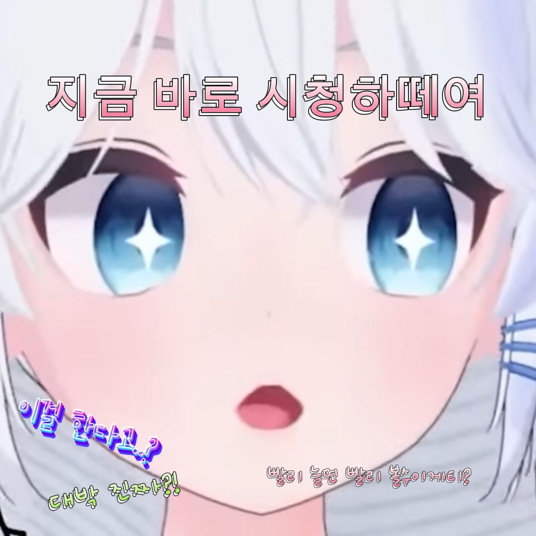 팔로워 공약