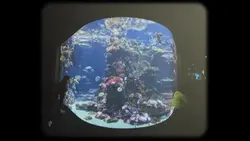 あなたといたい