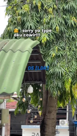 TEKS BISA DIGANTI