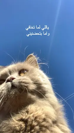 Arabic song 