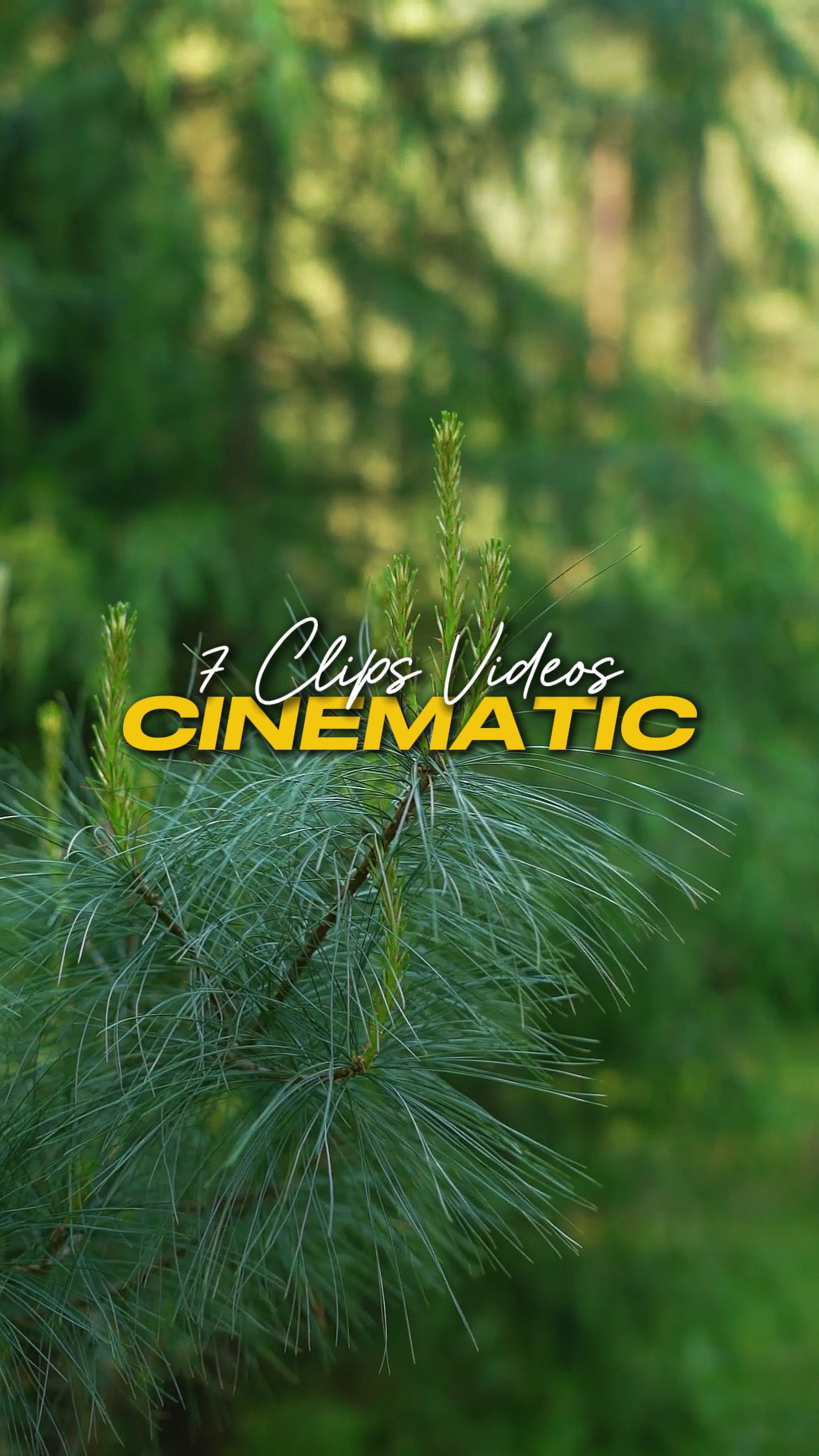 7 Videos Cinemáticos