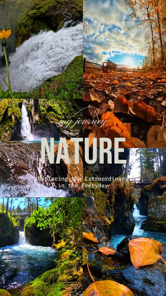 Estética de la naturaleza