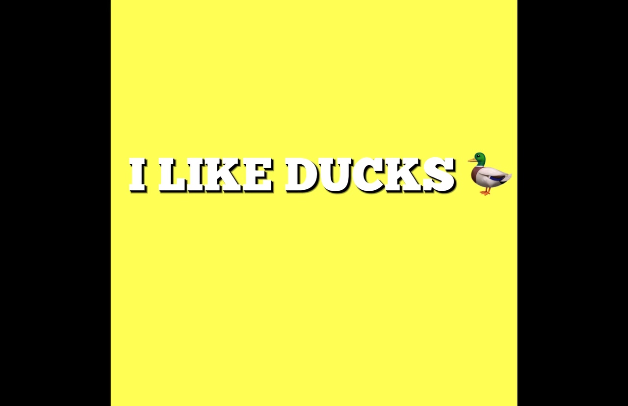 Me gustan los patos 🦆 