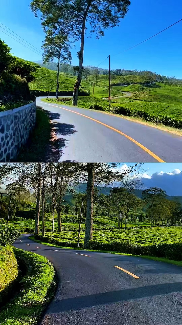 2 collage de videos