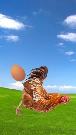 funny happy birthday