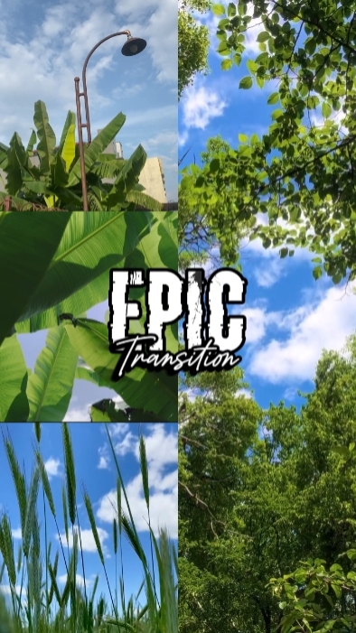 Epic Transition 