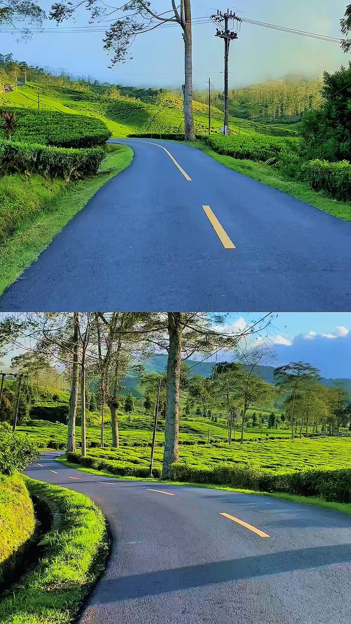 2 collage de videos
