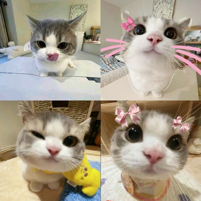 Cadre mignon