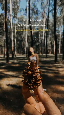 ยิ้มไว้ในวันที่ส้มไม่หวาน