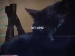 lets drink 