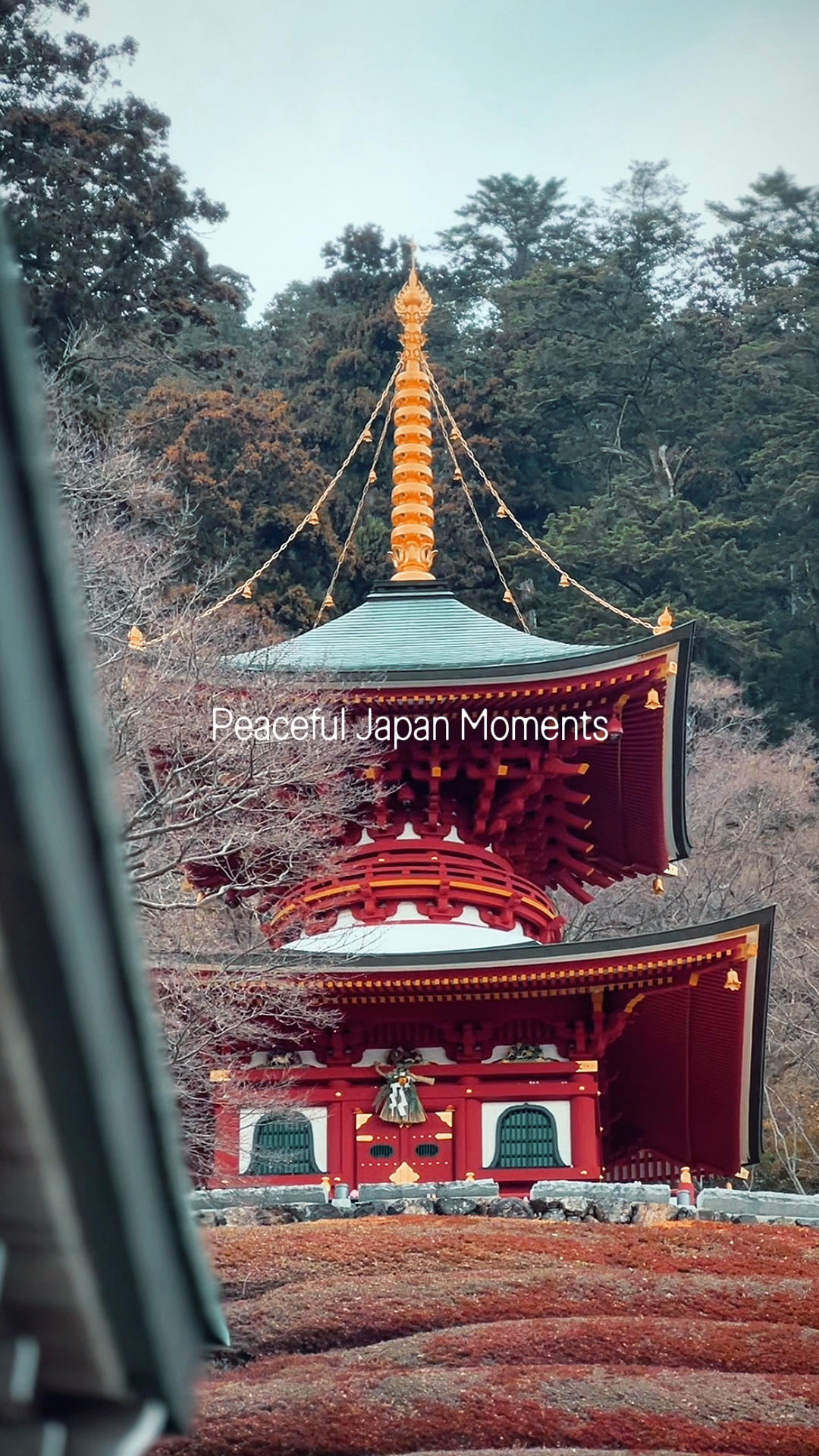Momentos do Japão