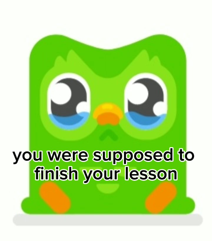 SPANISH LESSON NOW!!