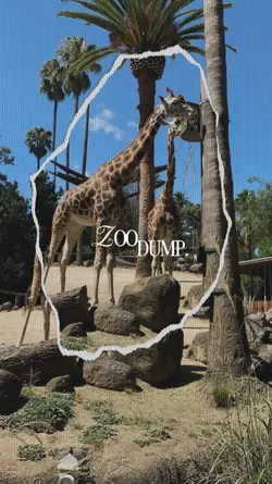ZOO DUMP
