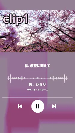 桜、ひらり/サザンオールスターズ